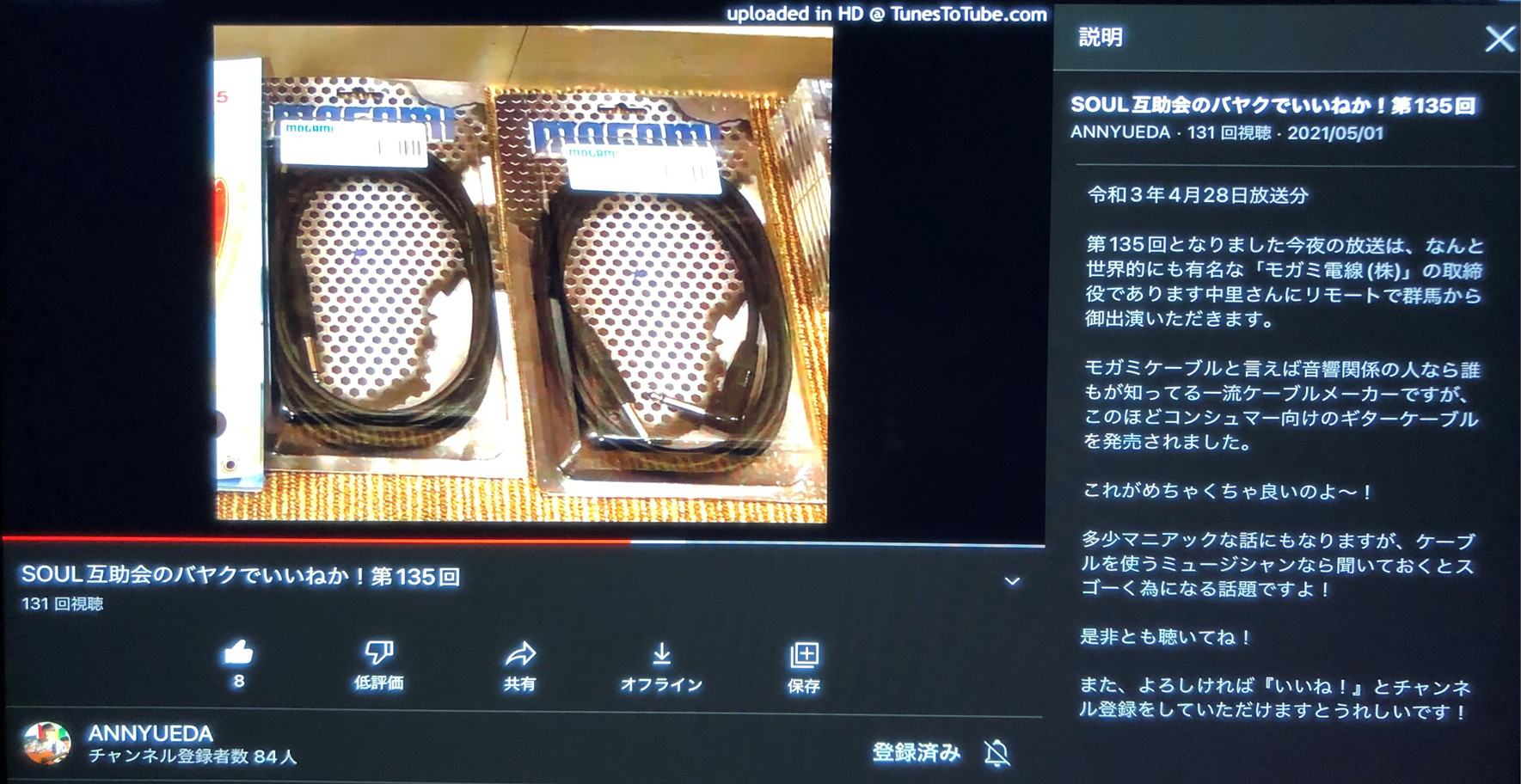 動画の再生画面